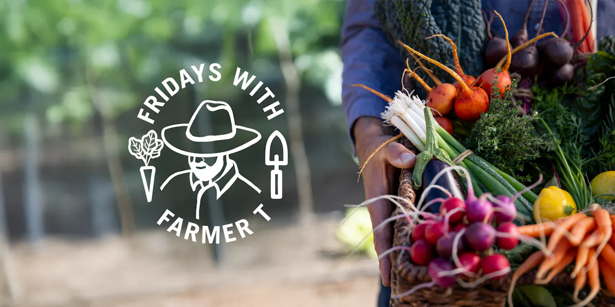 hat, natural foods, produce, vegetable, sun hat, fedora