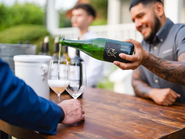 alcoholic drink, drinkware, bottle, liquor, stemware, wine