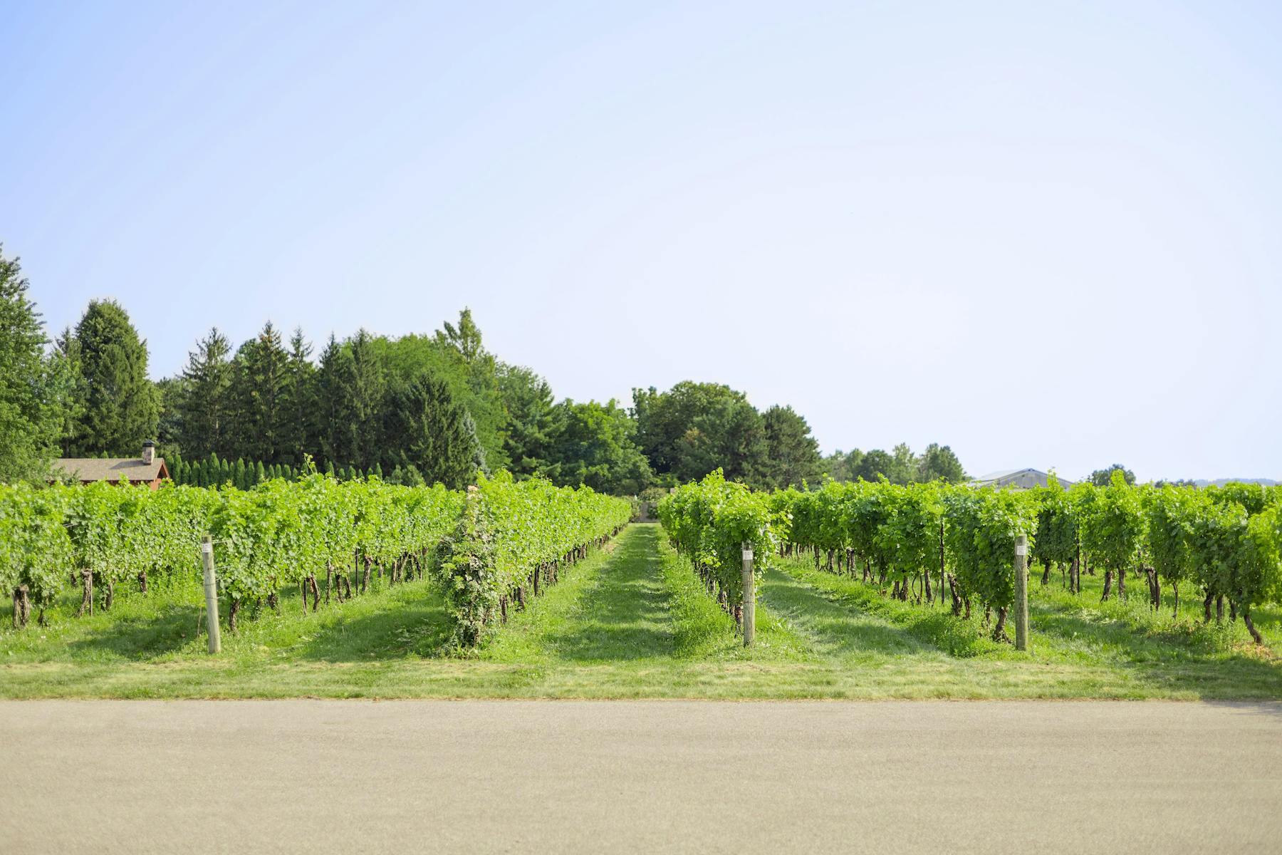 Reif Estate Winery - Niagara-on-the-Lake, ON | Tock