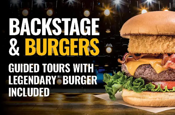 junk food, hamburger, food, fast food, buffalo burger, cheeseburger