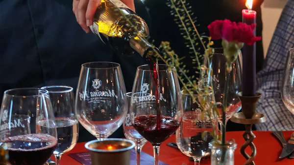 tableware, stemware, drinkware, alcoholic drink, barware, wine glass