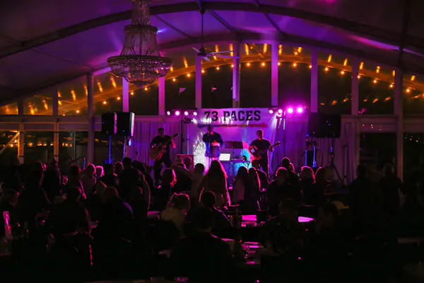 entertainment, event, lighting, crowd, music venue, party