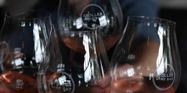 stemware, tableware, drinkware, barware, champagne glass, wine glass