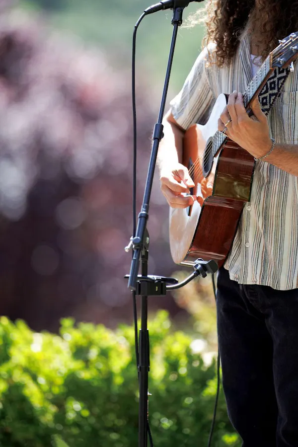 musical instrument, audio equipment, string instrument, plucked string instrument, chordophone, electronic device