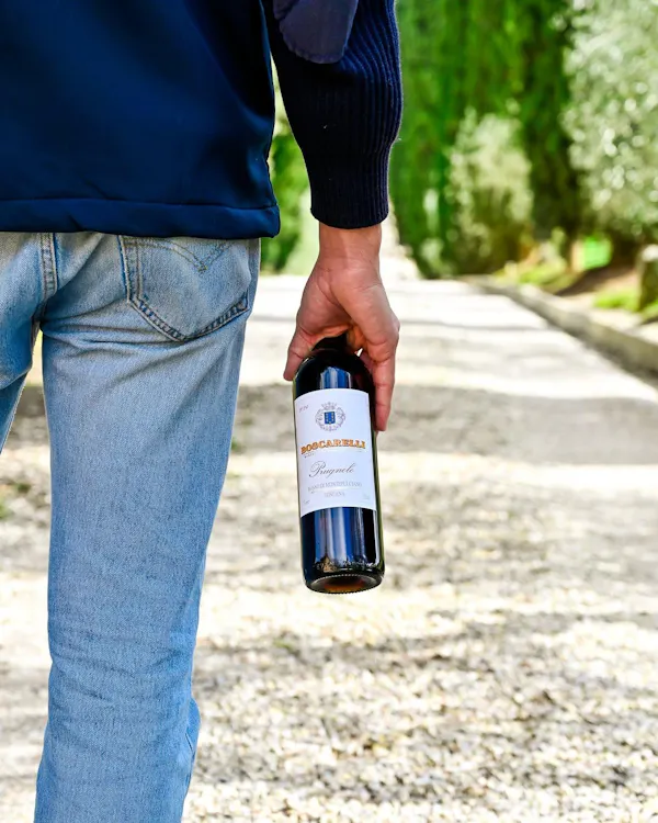 bottle, alcoholic drink, glass bottle, liquid, wine bottle, alcohol