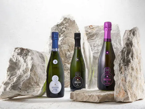 bottle, alcoholic drink, liquid, alcohol, glass bottle, wine bottle