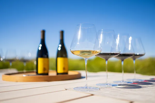 tableware, stemware, drinkware, alcoholic drink, barware, wine glass