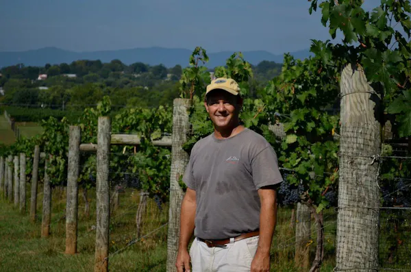 agriculture, plantation, vineyard, people in nature, soil, grapes