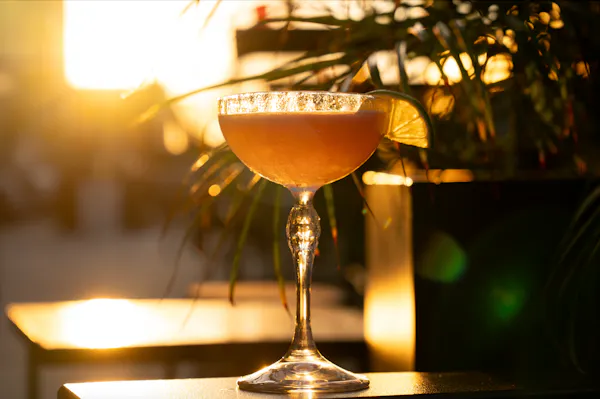 tableware, stemware, alcoholic drink, classic cocktail, cocktail, champagne glass