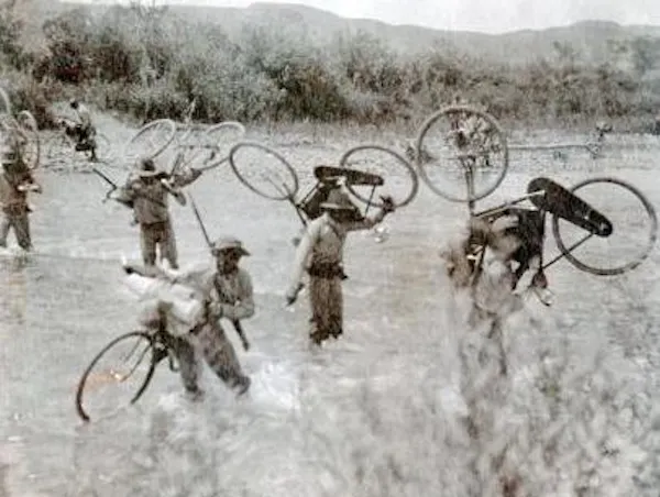 bicycle, wheel, bicycle tire, bicycle wheel, bicycle frame, bicycle handlebar