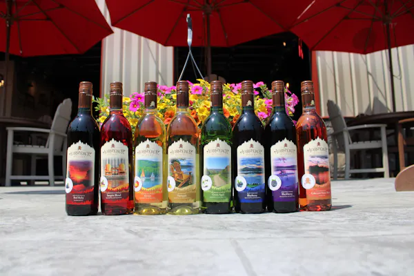 bottle, umbrella, wine, alcoholic beverage, glass bottle, tent