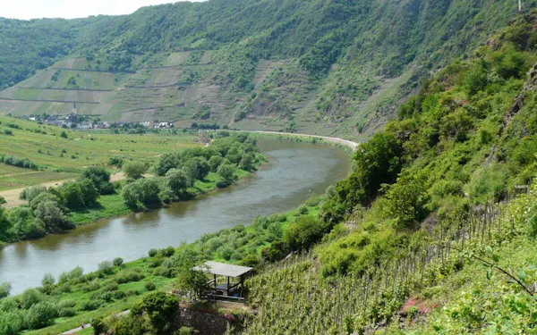 green, highland, hill, terrain, hill station, plantation