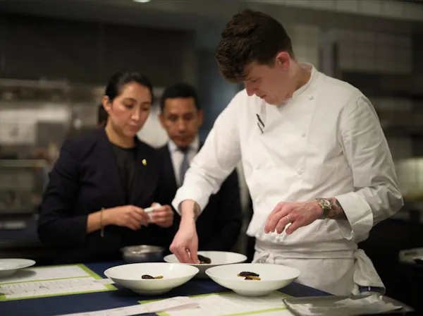 chef, uniform, cook, chef's uniform, cooking, food