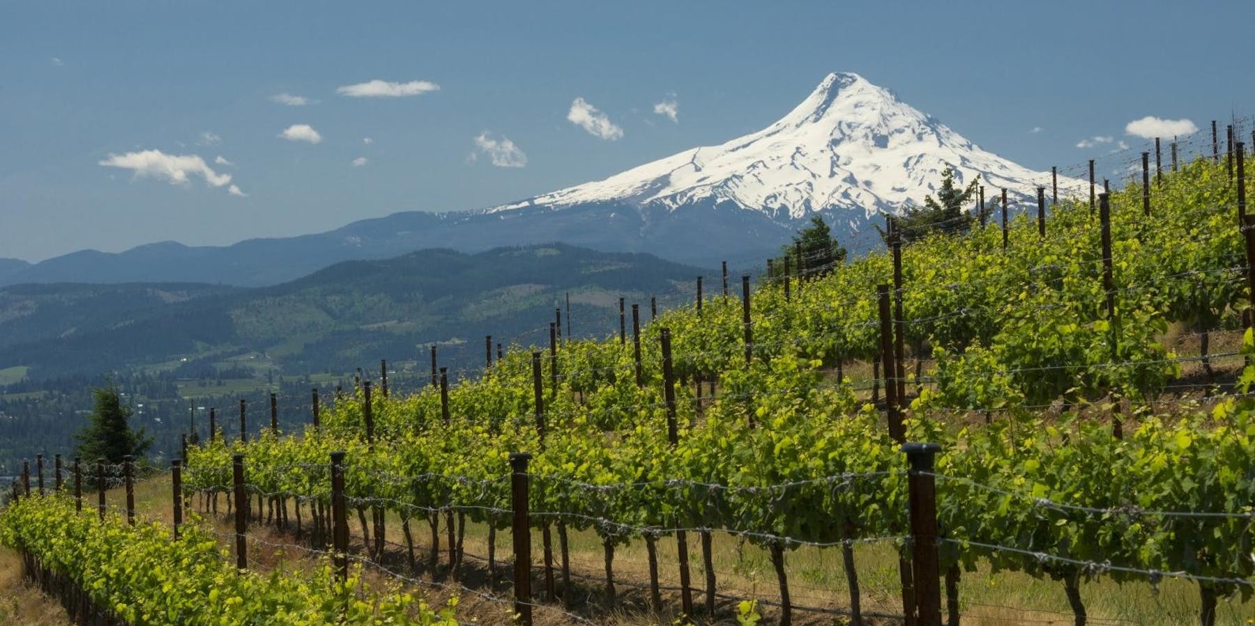 Noble Riot Wine Bar Denver, CO Tock