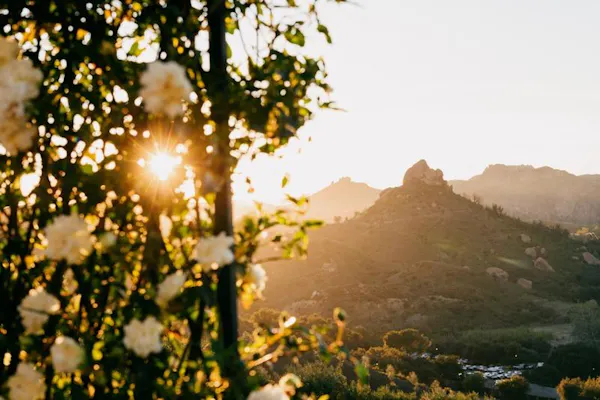 sky, flower, plant, natural landscape, people in nature, sunrise