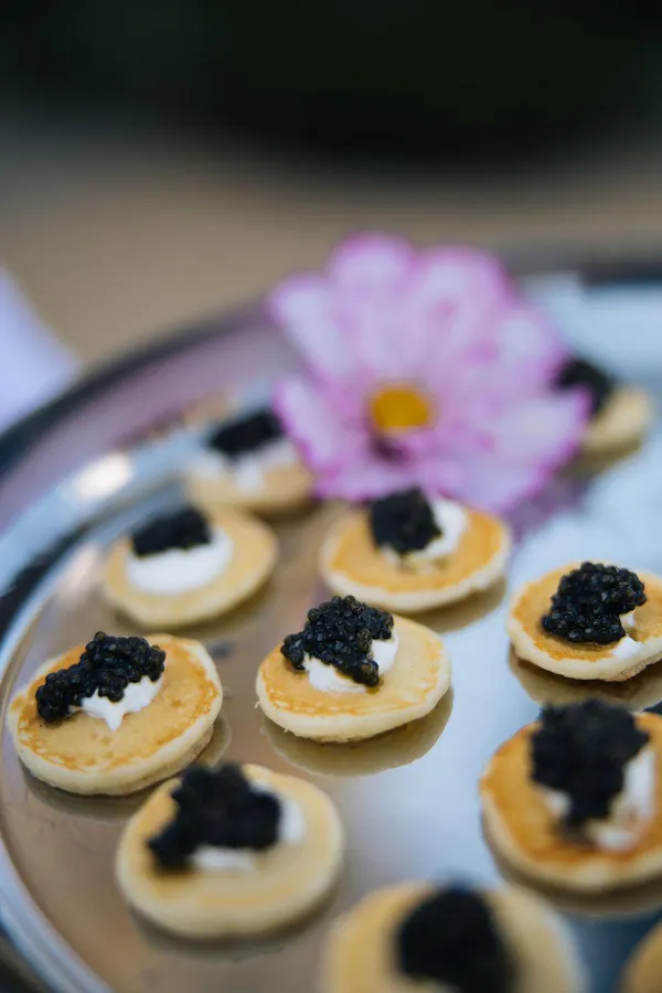 food, caviar, ingredient, finger food, dessert, culinary arts