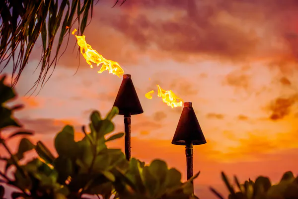 orange, yellow, heat, lighting, sunlight, dusk