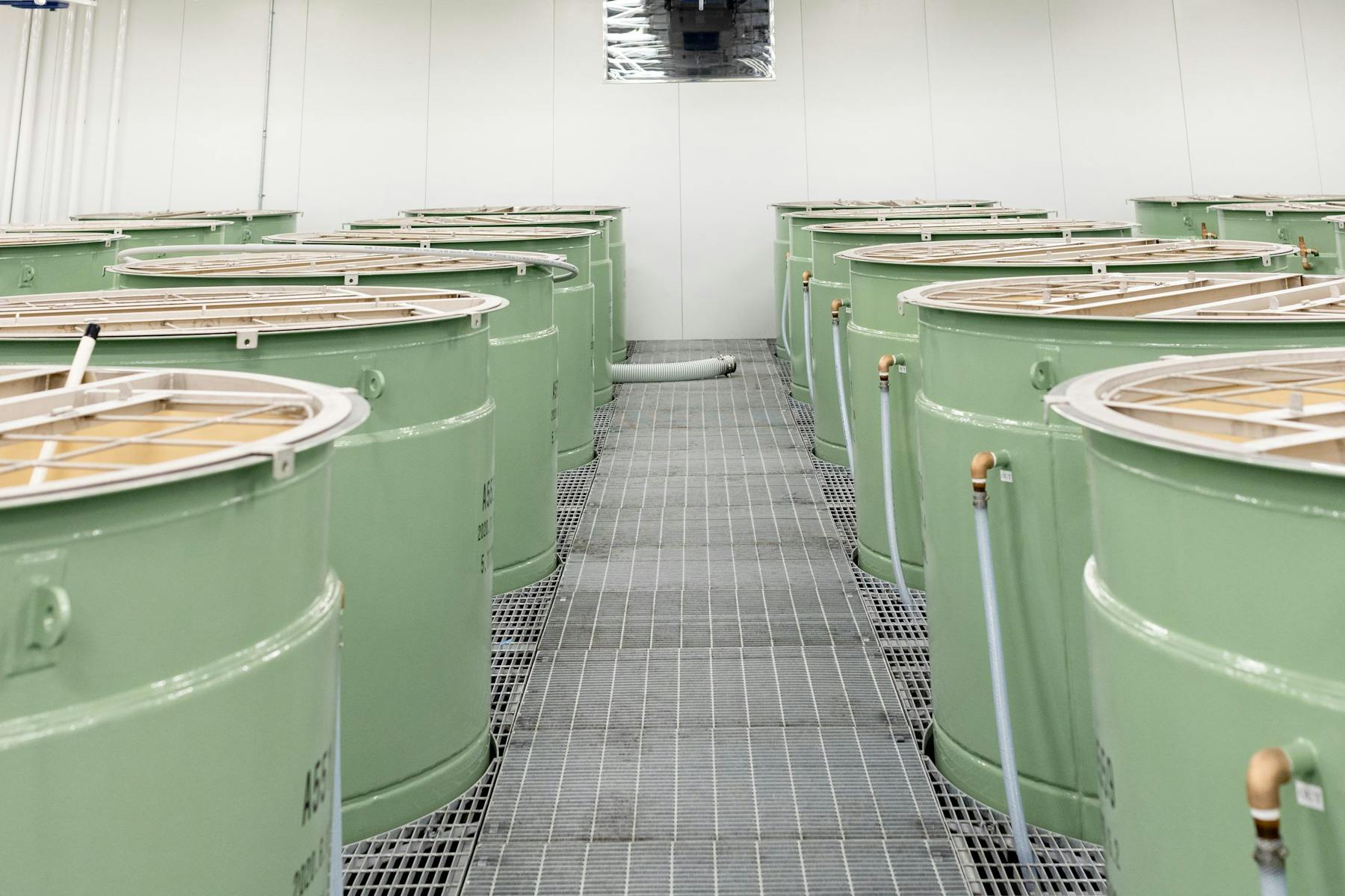 Dassai Blue Sake Brewery Hyde Park, NY Tock