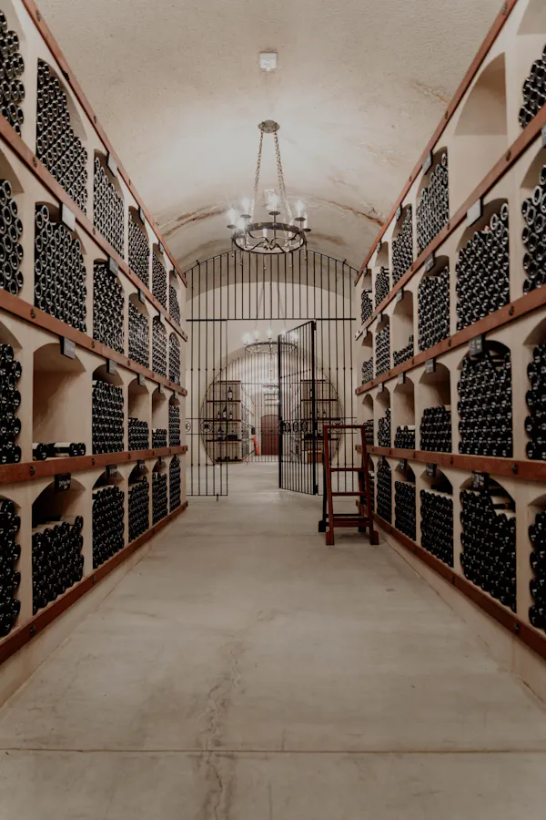 arch, winery, wine cellar, ceiling, vault, light fixture