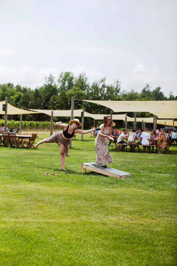 grass, recreation, summer, leisure, lawn, spring