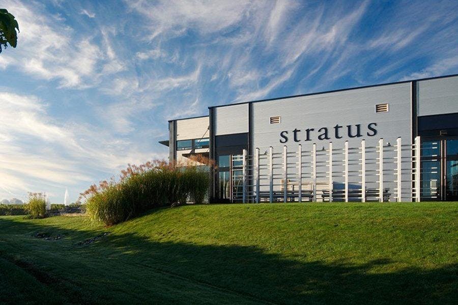 Stratus Vineyards