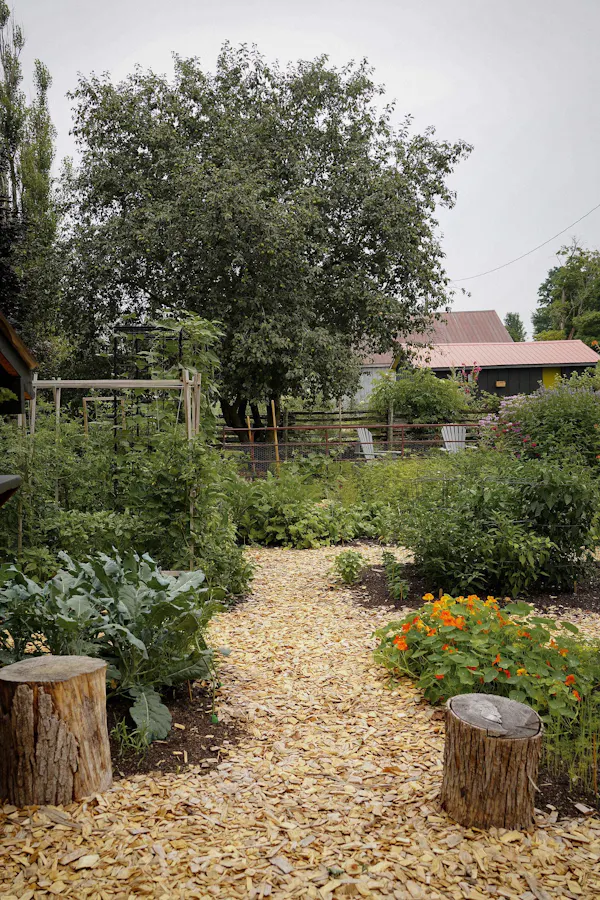 plants, shrub, garden, plant community, groundcover, backyard