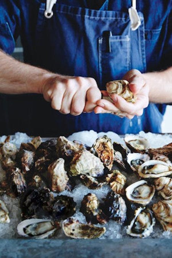 food, blue, ingredient, natural material, oyster, recipe