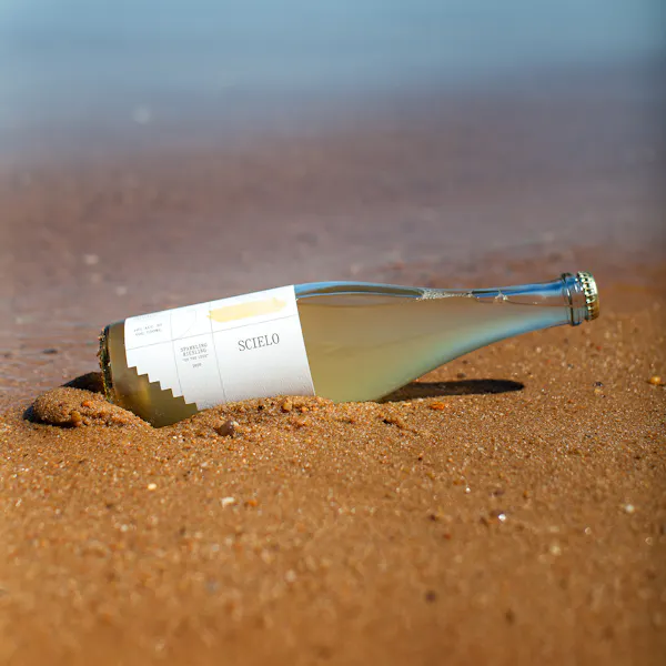 bottle, liquid, glass bottle, alcoholic drink, champagne
