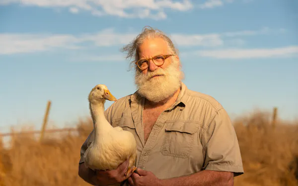 beak, bird, ducks, wildlife biologist