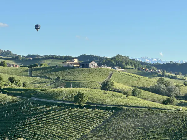 hill, highland, grassland, agriculture, plantation, rural area