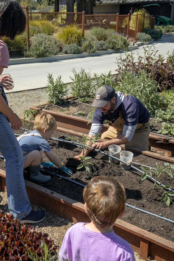 soil, garden, child, gardening, leisure, plantation