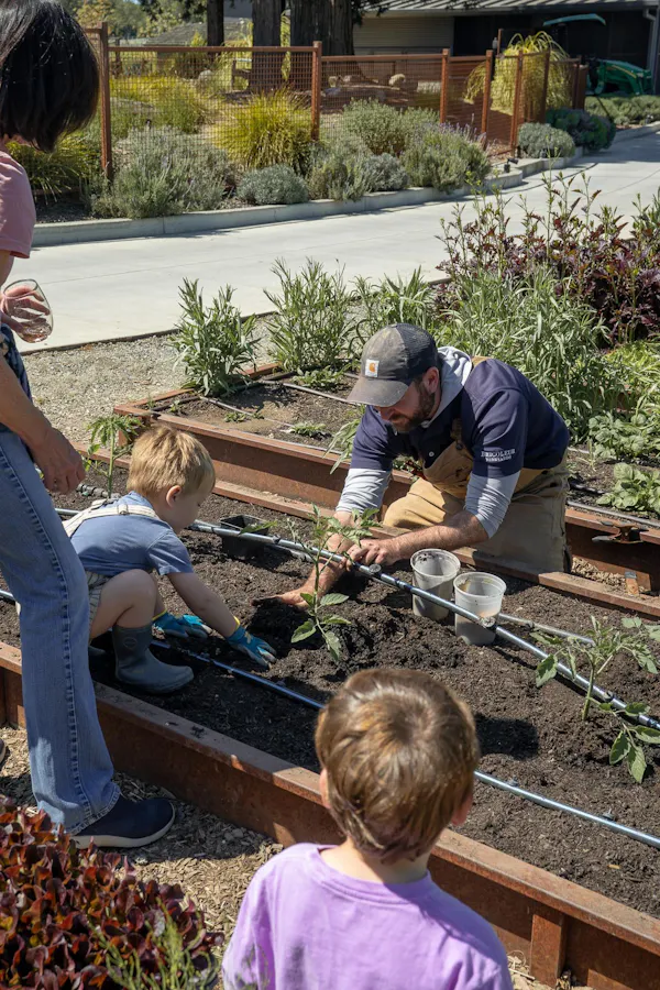 soil, garden, child, gardening, leisure, plantation