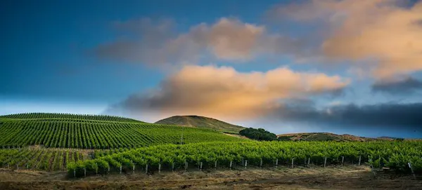 cloud, natural landscape, agriculture, horizon, field, hill