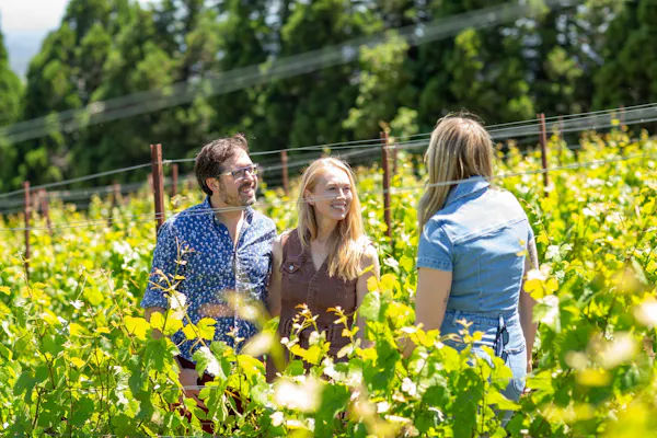summer, agriculture, spring, people in nature, happiness, field