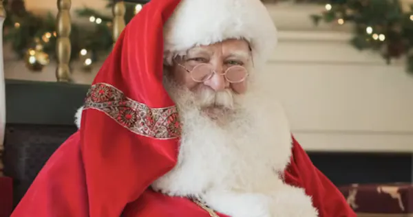 facial hair, beard, glasses, head, santa claus, moustache
