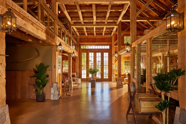 wood, ceiling, flooring, lighting, floor, furniture