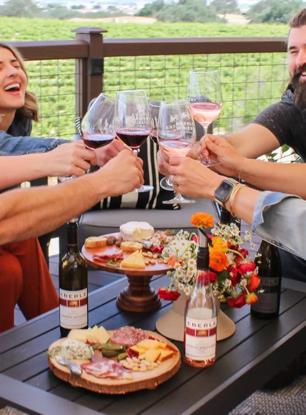 food, tableware, drinkware, alcoholic drink, table, furniture