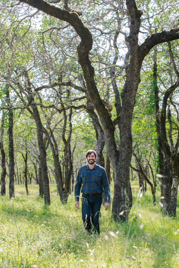 plant, people in nature, tree, natural landscape, trunk, terrestrial plant