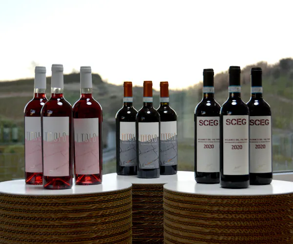 bottle, glass bottle, alcoholic drink, wine bottle, wine, red wine