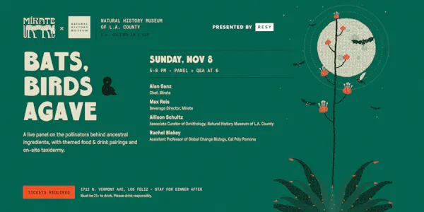 bird, beak, poster