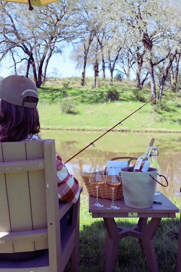 summer, recreation, furniture, picnic, outdoor furniture, basket