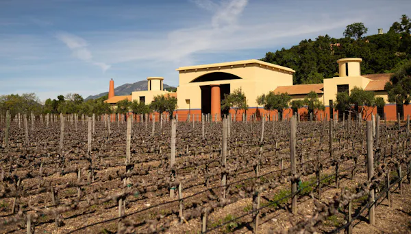 plantation, agriculture, winery