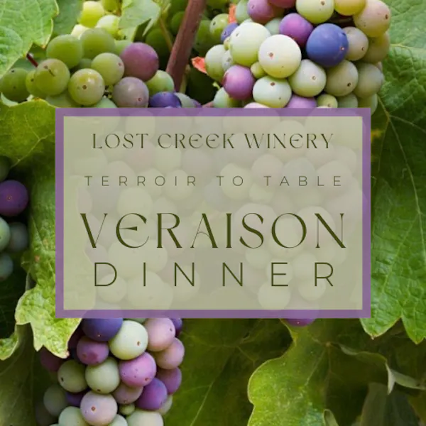 food, grape, grapes, produce, fruit, natural foods
