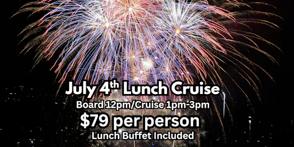 fireworks, food, night, new year's eve, independence day, new year