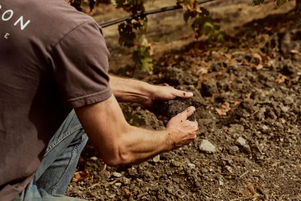 farmworker, soil, agriculture, people in nature, plantation, agriculturist