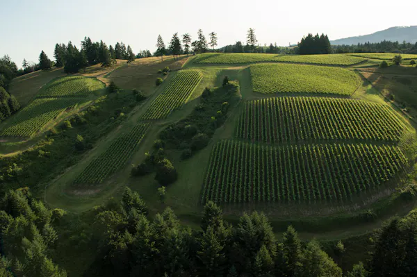 highland, aerial photography, terrace, hill, plantation, land lot