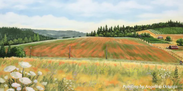 plants, natural landscape, grassland, plain, field, rural area
