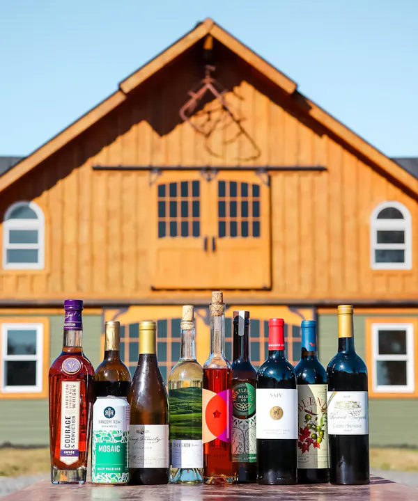 bottle, alcoholic drink, alcohol, glass bottle, barware, wine bottle