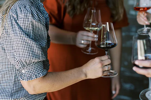 stemware, tableware, drinkware, wine glass, alcoholic drink, barware