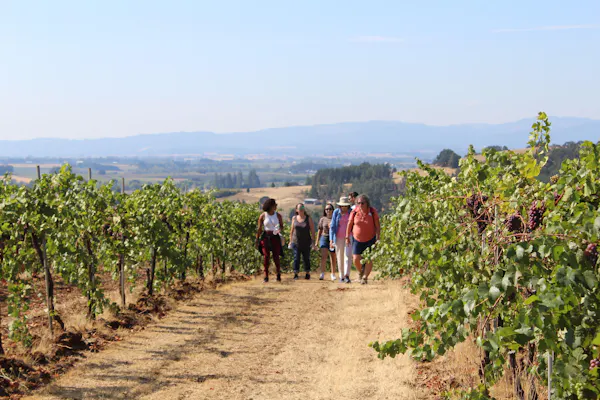 agriculture, plantation, field, soil, people in nature, vineyard